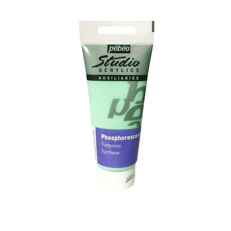 100ml luminous acrylic paint toning glue bottle in glow colours with brushes and painting knives