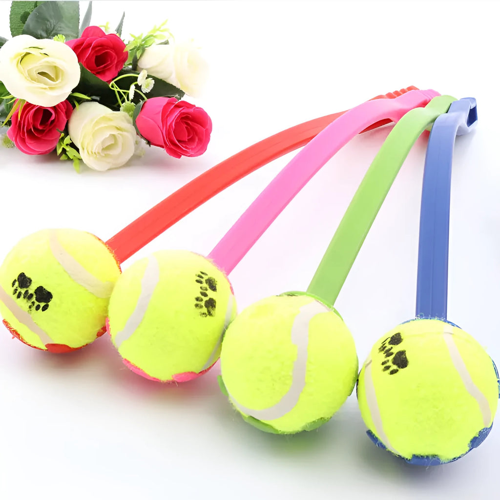 Dog throwing ball set with ergonomic handle and soft ball, 38cm, available in Blue Green Red