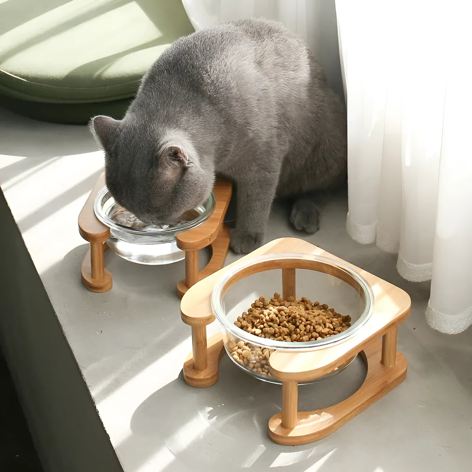 Clear glass cat bowl with 14.7cm diameter and 480ml capacity on stainless steel stand