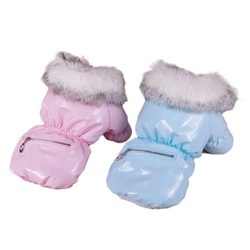 British style blue cotton dog jacket for winter warmth on a small dog, showing size and style.