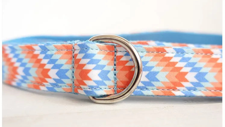 Orange and blue polyester money loop dog leash set on a white background
