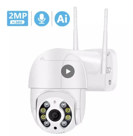 2MP 1080P wireless WiFi AI surveillance camera ball machine with dual light infrared night vision and cloud storage