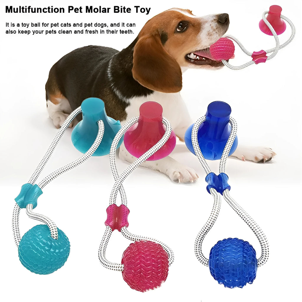 Pet dog rubber sucker molar toy in five colours blue green orange purple red on a light background