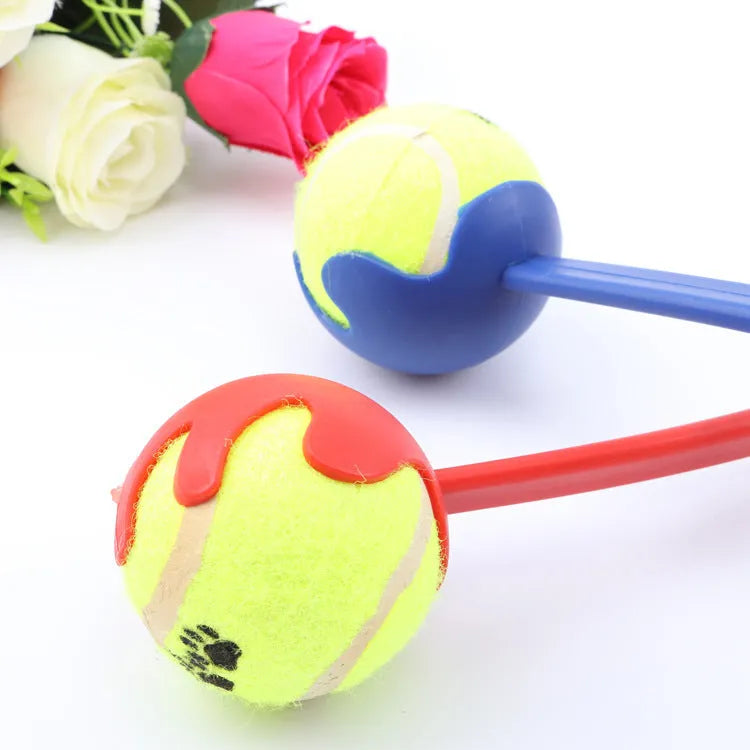 Dog throwing ball set with ergonomic handle and soft ball, 38cm, available in Blue Green Red