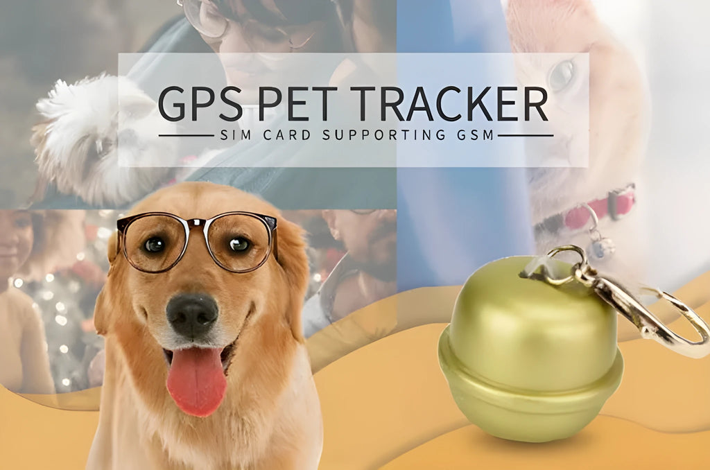 GPS dog collar pet locator shown in black, brown, green, and pink colour options on a dog's neck.