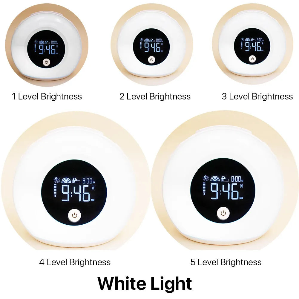 Digital music alarm clock with VA LCD screen and five fluorescent light types, compact 130 x 120 x 75 mm