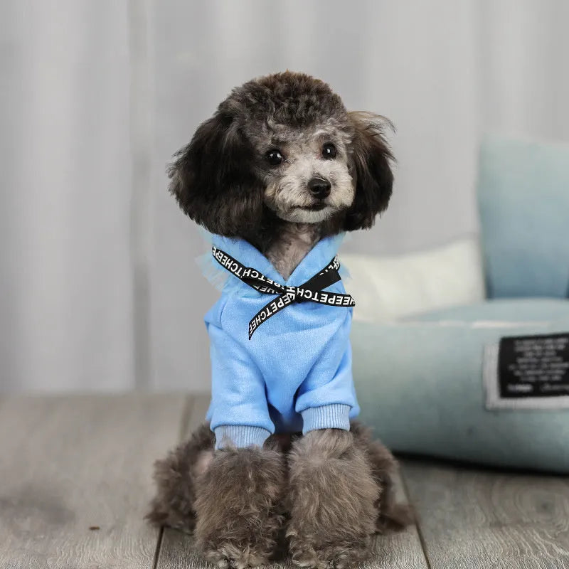 Casual cotton webbing-style pet clothing in black for Asian size M dog