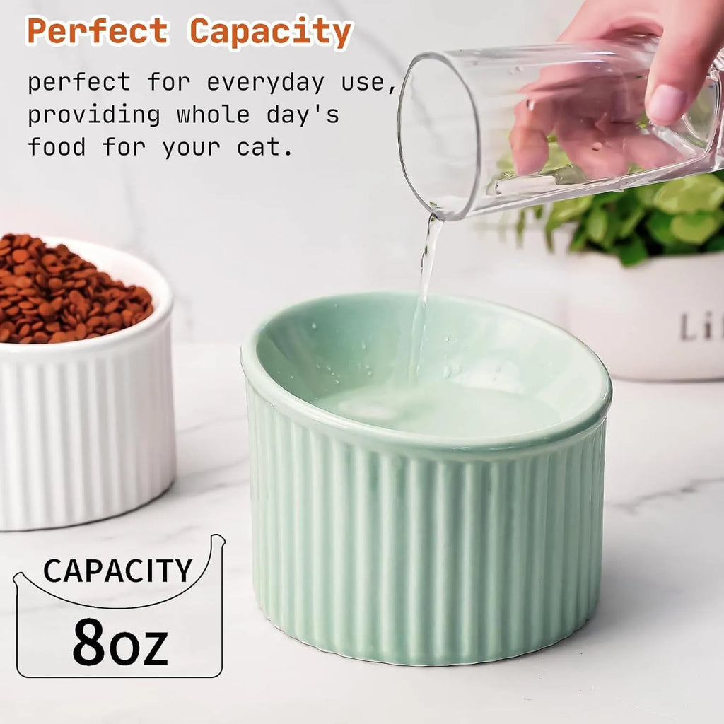 Ceramic elevated cat bowl in green colour with tilted round design for comfortable feeding.