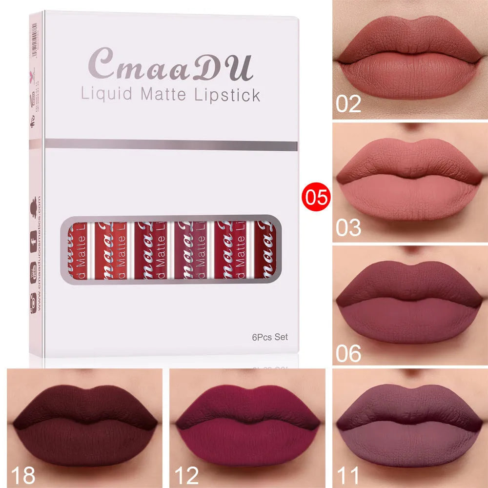 Box containing six tubes of matte finish, waterproof lip gloss in assorted styles.