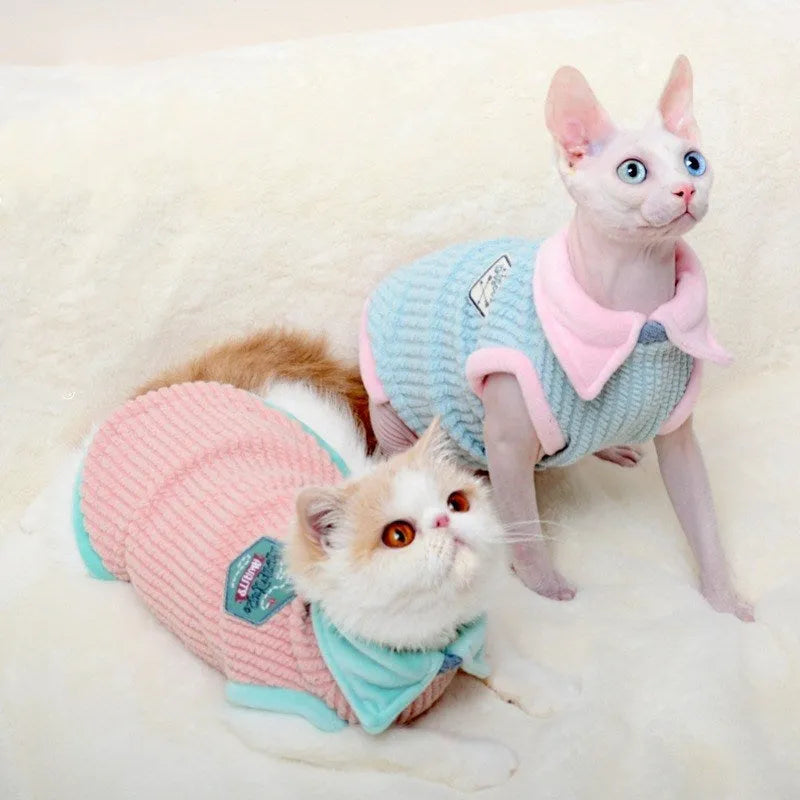 Blue wool two-legged cat clothing for hairless cats with pink edging