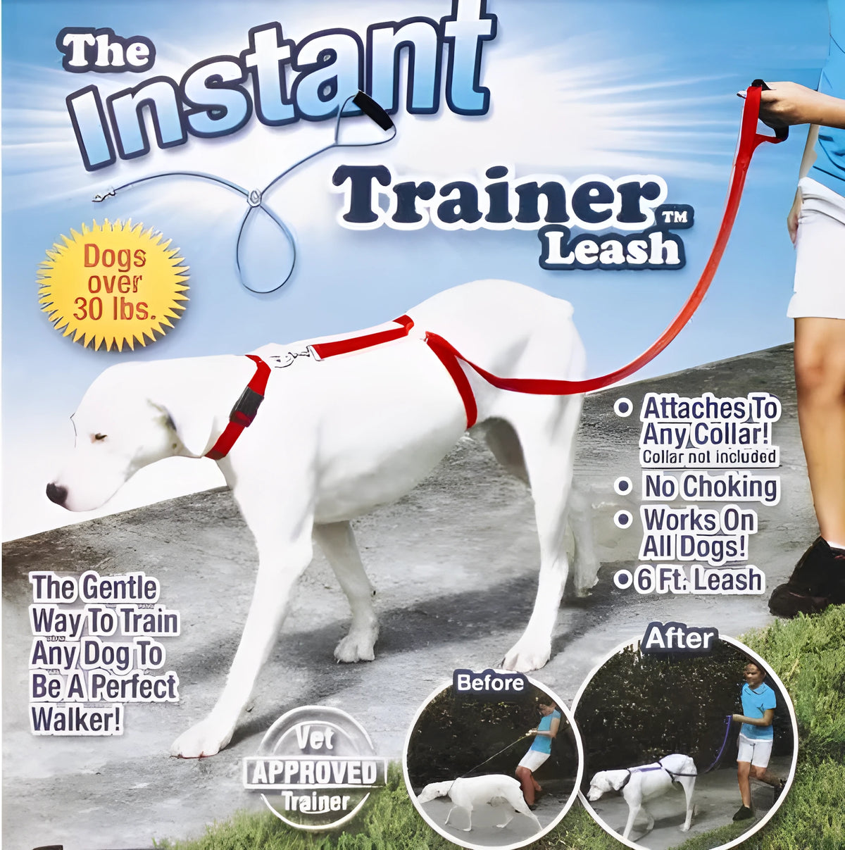 Blue Instant Trainer Dog Leash for dogs over 30 lbs, 6 ft long, no pull training leash