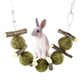 Hanging pet molar string toy with 5 natural grass balls and 6 apple branches for small animals