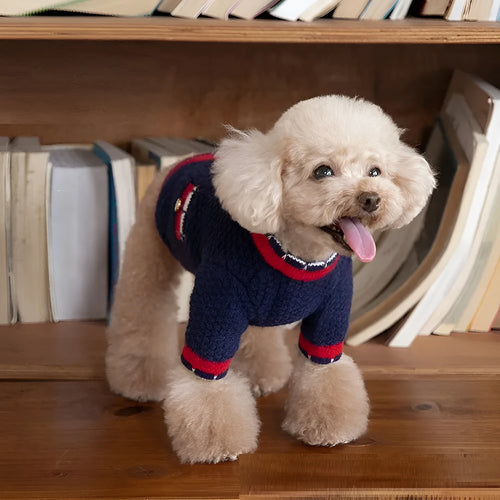 Blue Bejirog wool sweater cardigan for pets in classic princess style with traditional design