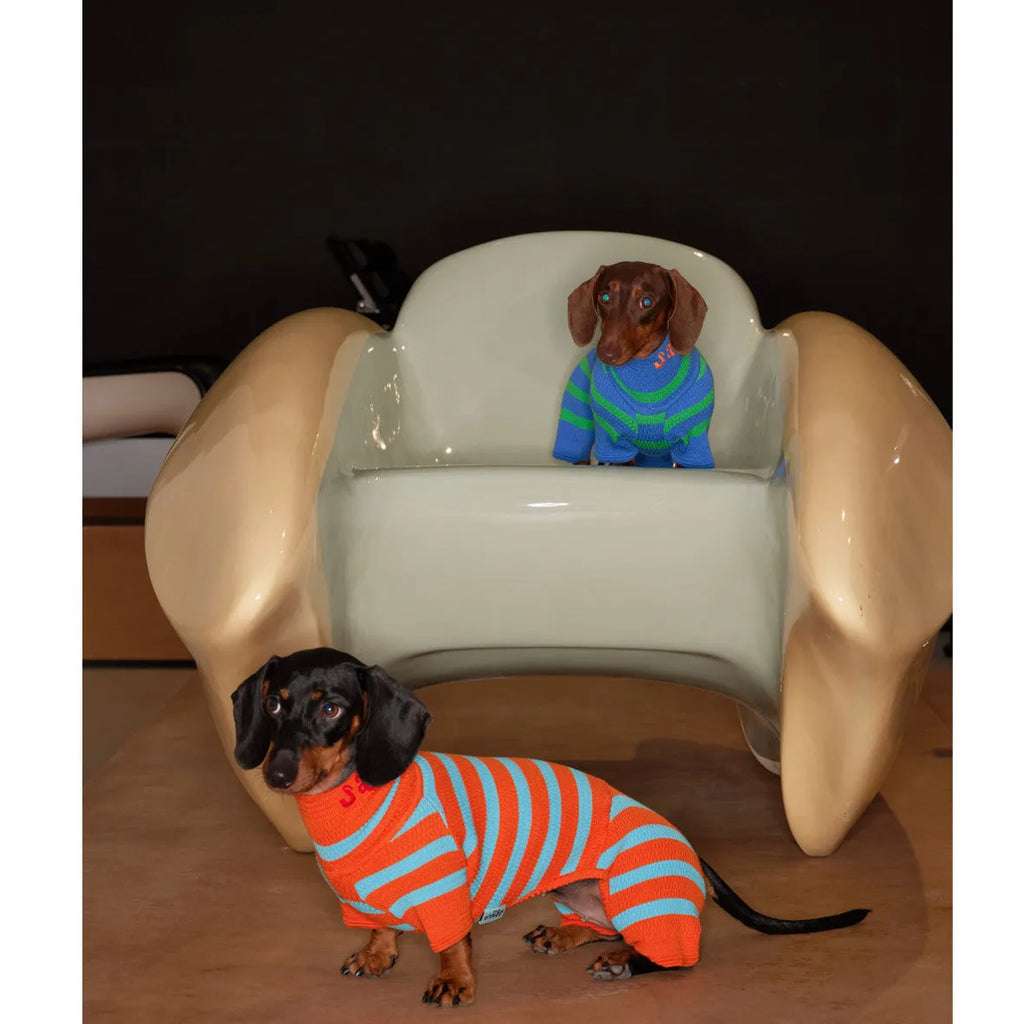 Knitted contrast colour stretch dog clothing in vibrant orange on a light background showing four-legged jumpsuit