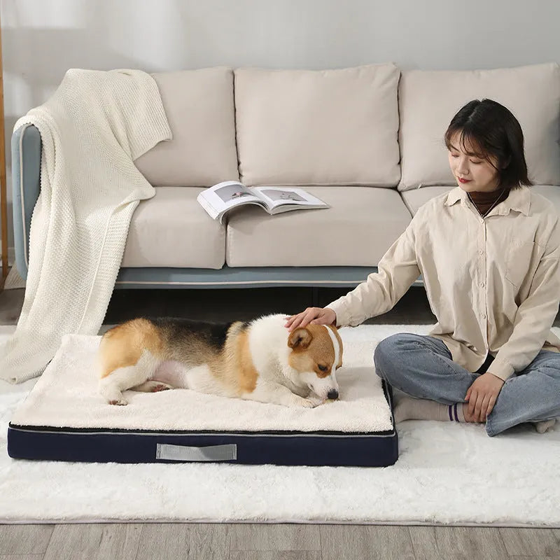 Removable washable sponge dog mat in brown, shown in a domestic setting.
