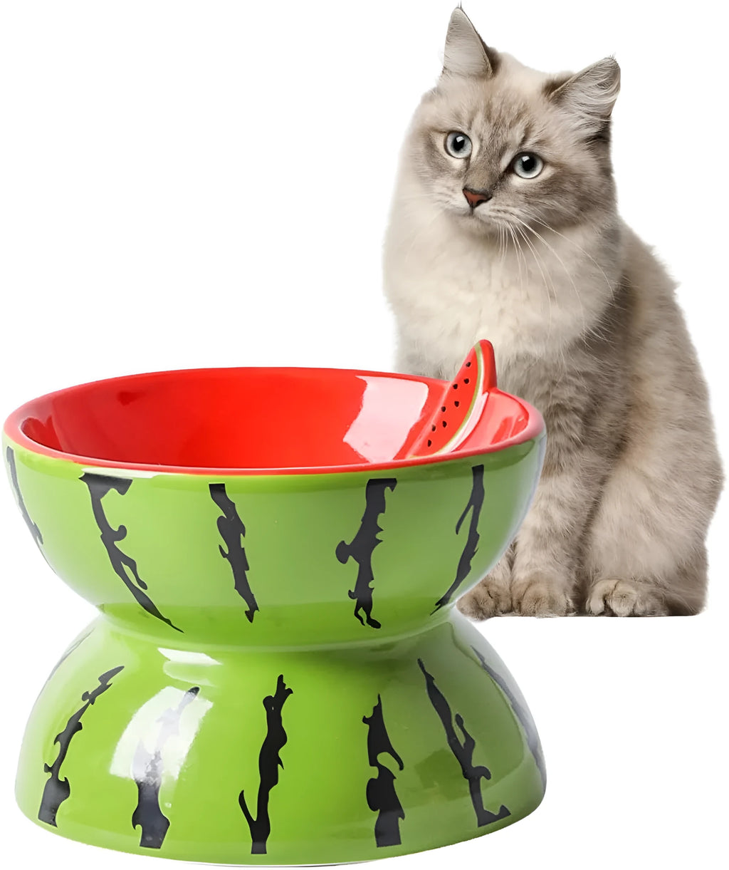 Ceramic elevated cat bowl with tilted orange fruit pattern and non-slip base.