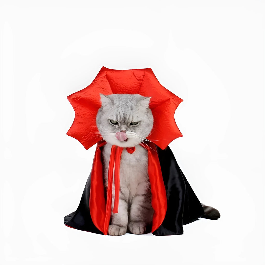 Halloween vampire cloak costume for small dog or cat showing cape design