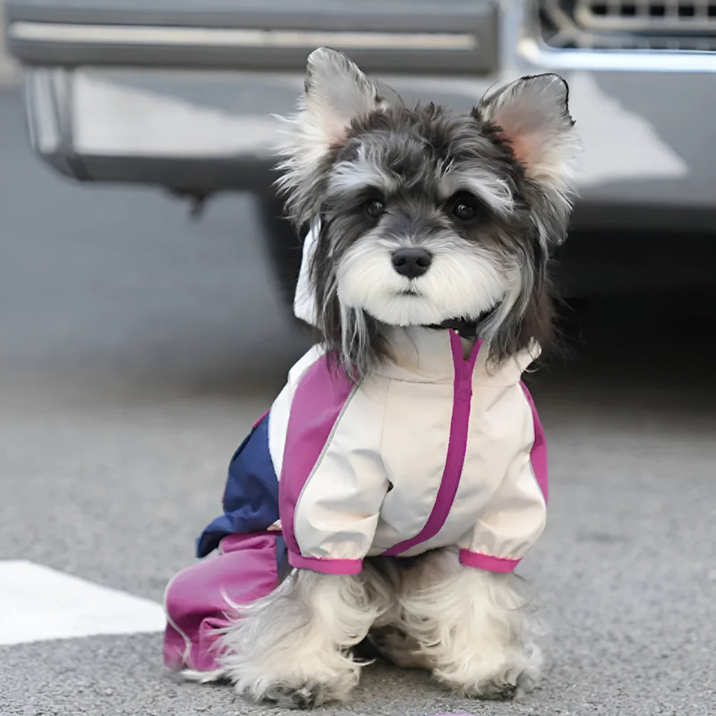 Waterproof pet jacket in bright mint green for dogs, polyester shell with casual style