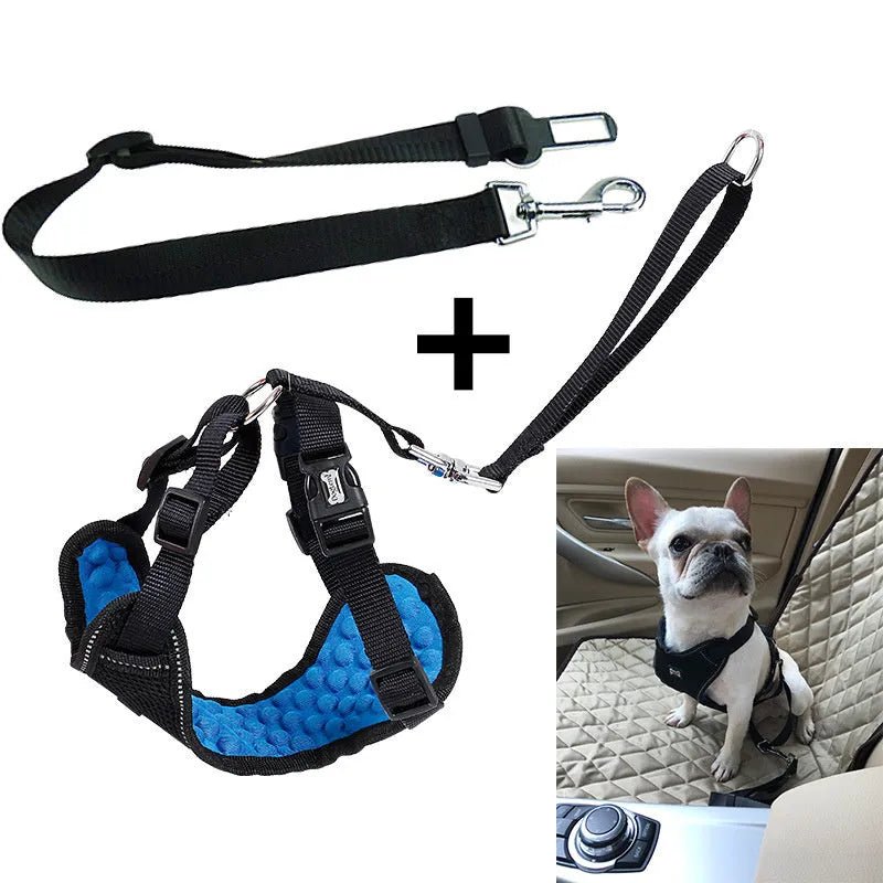 Mesh bumps pet car seat belt chest strap in black and blue for dogs and cats sizes S M L XL