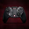 Black Gaishi chicken game console controller with Type-C cable.