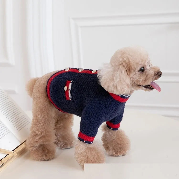 Blue Bejirog wool sweater cardigan for pets in classic princess style with traditional design
