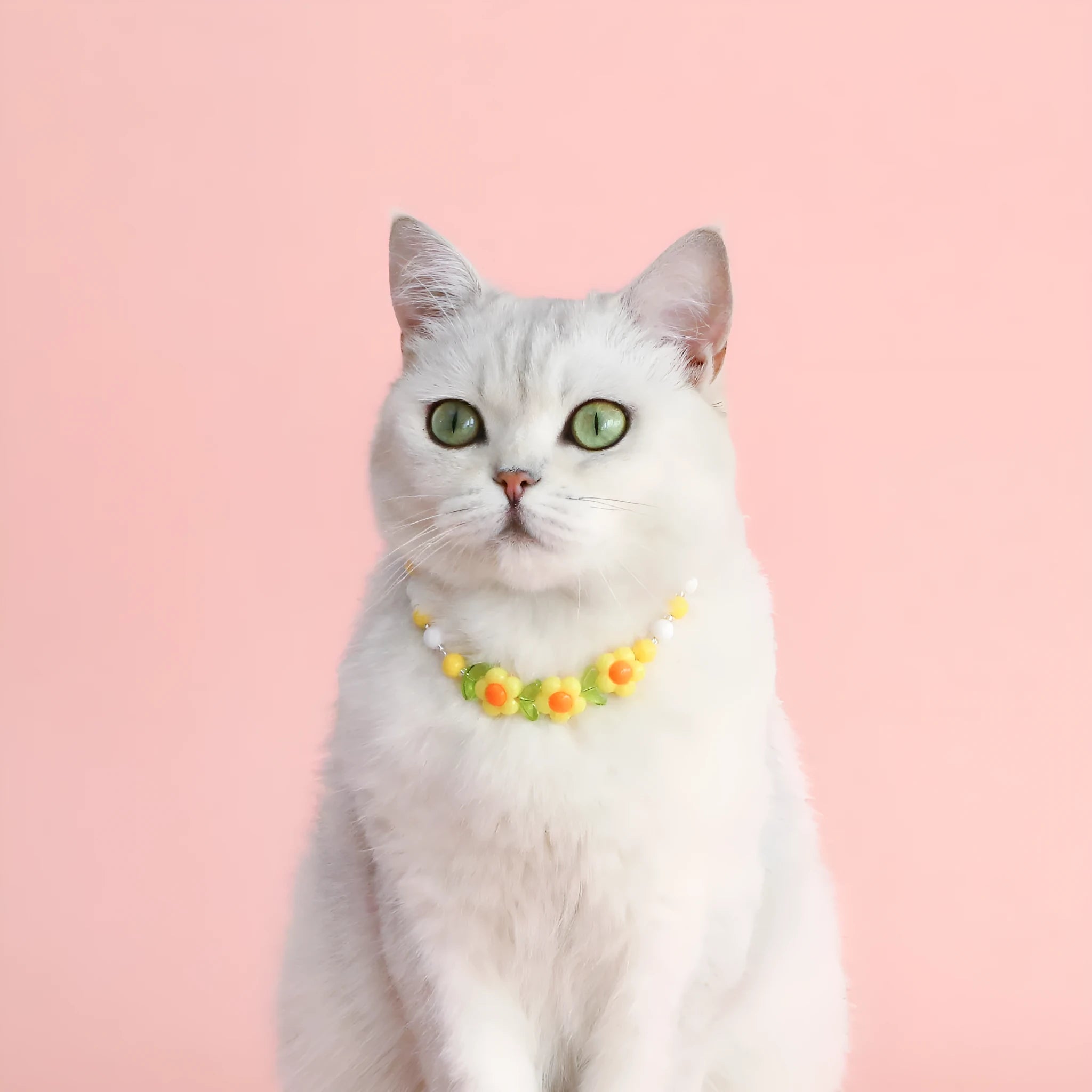 Colourful plastic bead cat necklace with small flower pattern on adjustable cord