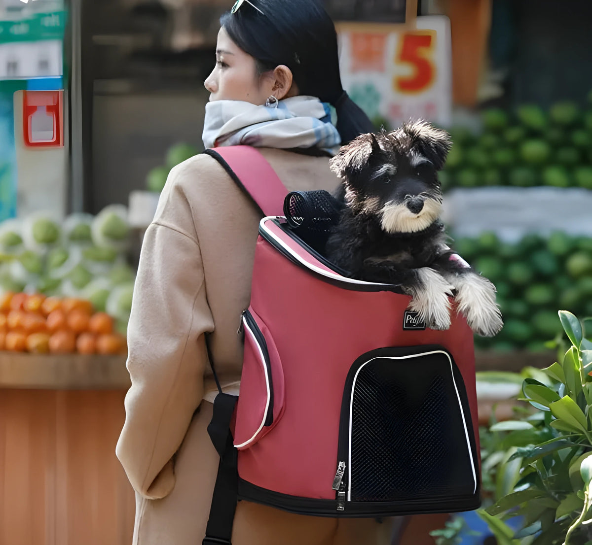Blue pet dog backpack made from Oxford cloth and hexagonal mesh, designed for carrying small pets up to 15 jin