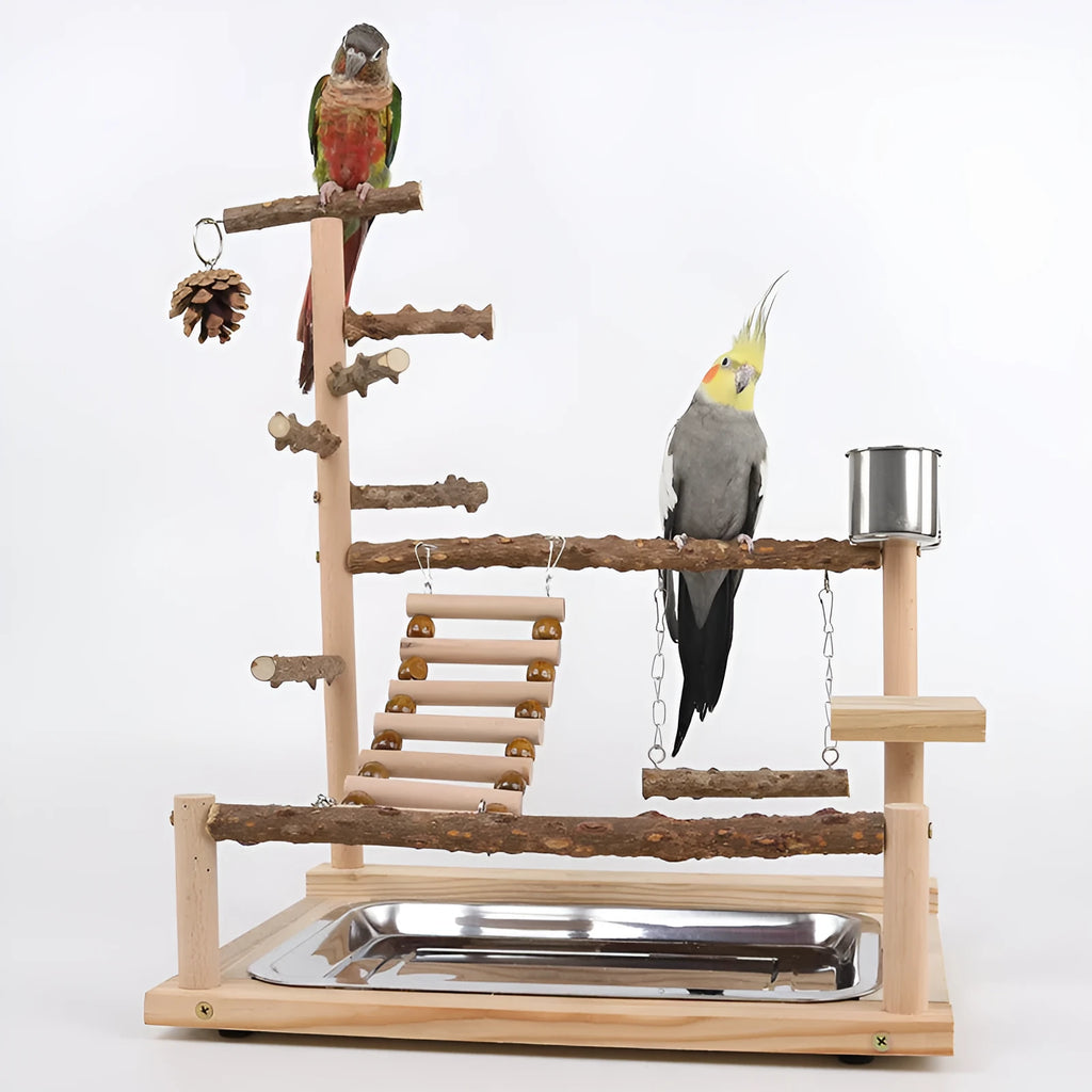 Sichuan Pepper Parrot Climbing Training Platform made from natural solid wood, 37x26x45cm, in a light wood colour finish.