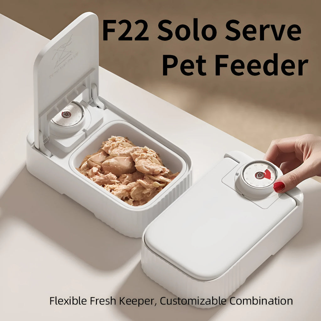 White timed pet feeder with visual alarm display and separate ice crystal box for freshness.