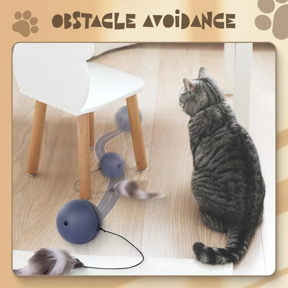 Blue and orange automatic rolling cat ball toy with self-activated motion for indoor pet play