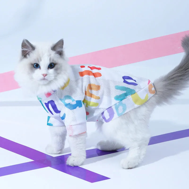 Colourful anti hair loss breathable mesh cat vest made from polyester on a cat