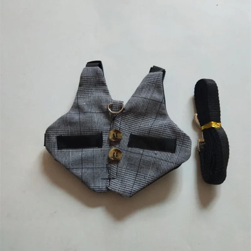 Grey rabbit leash and dress chest harness set on small pet, sizes S M L available