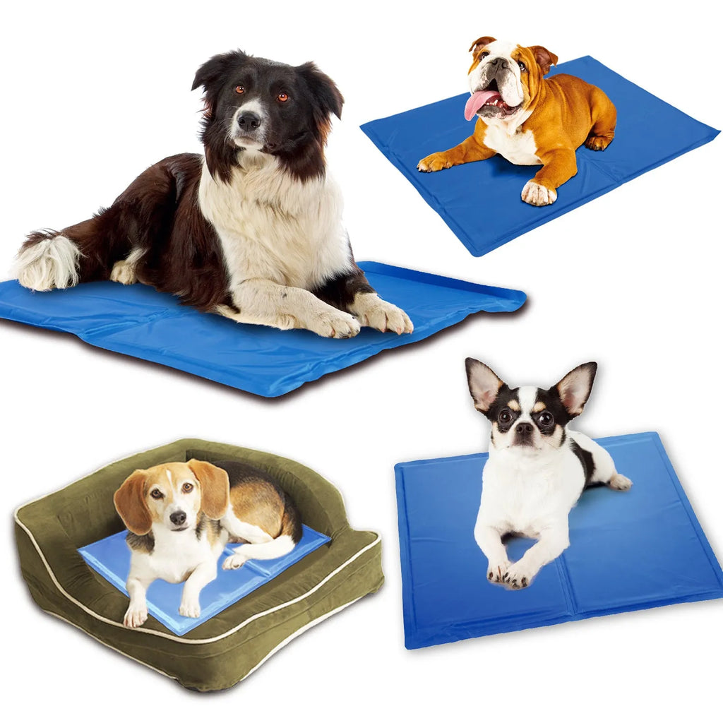 Blue dog cooling mat with ice crystal filling placed on a floor - pressure activated cooling pad for summer