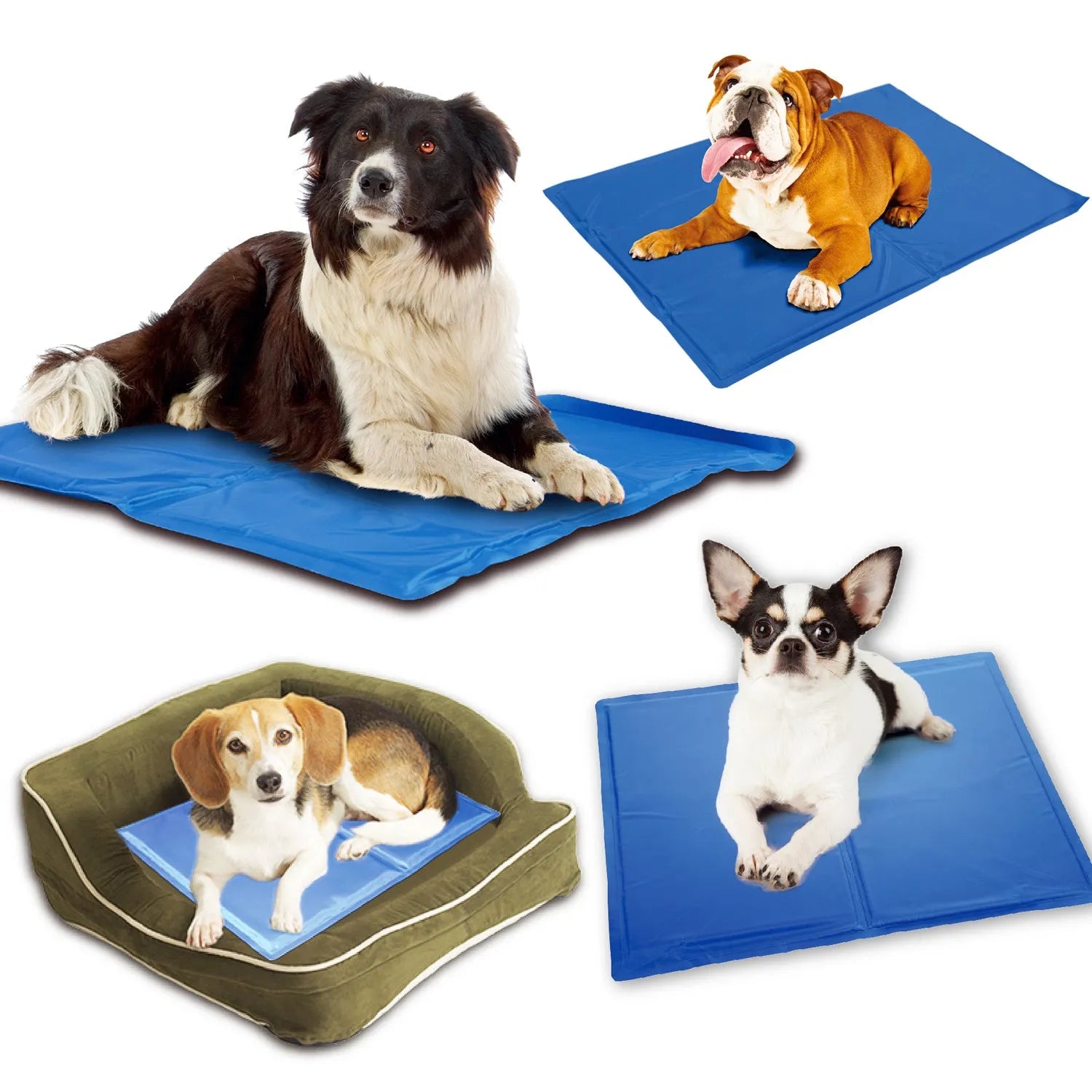 Blue dog cooling mat with ice crystal filling placed on a floor - pressure activated cooling pad for summer
