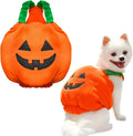 Orange pumpkin plush Halloween costume on a small dog, showing pullover design and soft fabric.