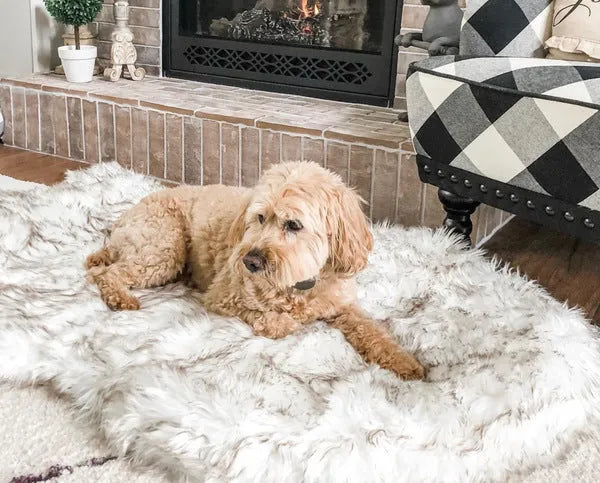 Beige plush pet dog mat for large dogs up to 45kg on a wooden floor