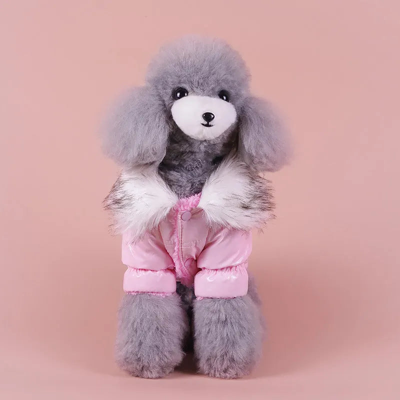 British style blue cotton dog jacket for winter warmth on a small dog, showing size and style.