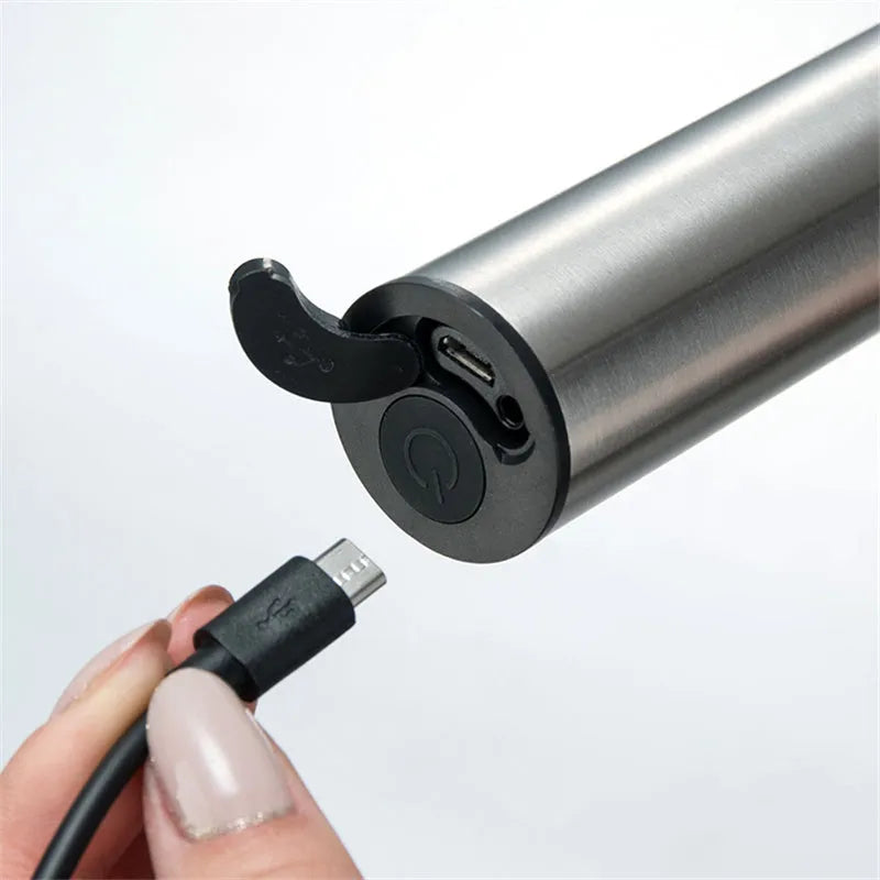 Silver handheld electric milk frother with double teat stainless steel whisk head on white background