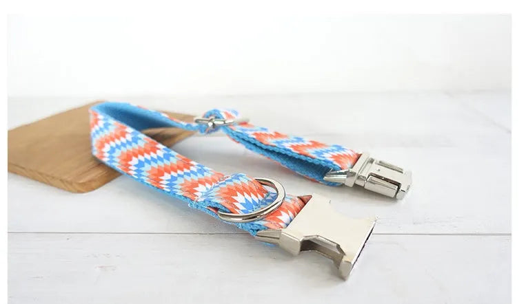 Orange and blue polyester money loop dog leash set on a white background