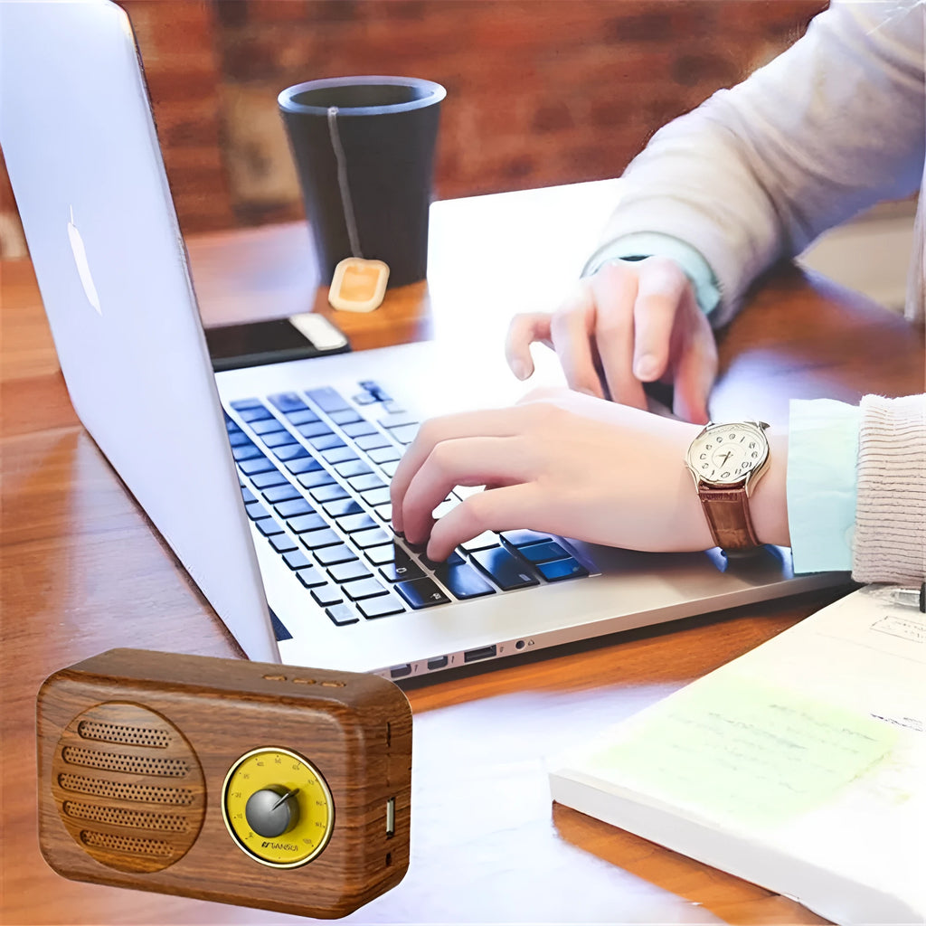 Portable Bluetooth speaker with FM radio in vintage green, pink or wood colour finish