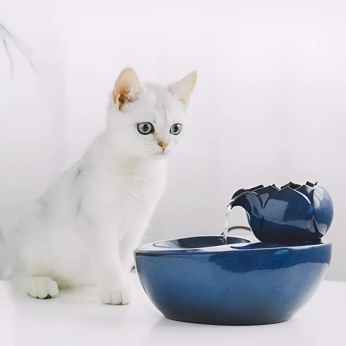 Cat water fountain with flowing water, available in multiple colours with 30 filters