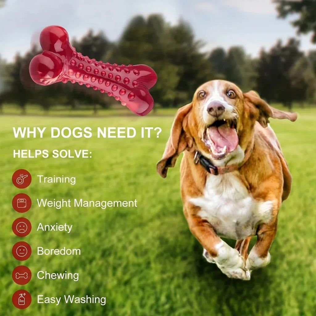 Red natural rubber chew toy for aggressive dogs with durable heavy-duty construction
