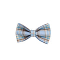 Sky blue grid pattern cloth dog collar and leash set with matching bow and vest on a dog