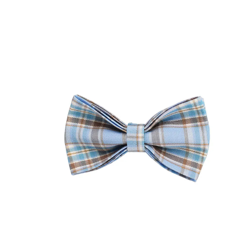 Sky blue grid pattern cloth dog collar and leash set with matching bow and vest on a dog