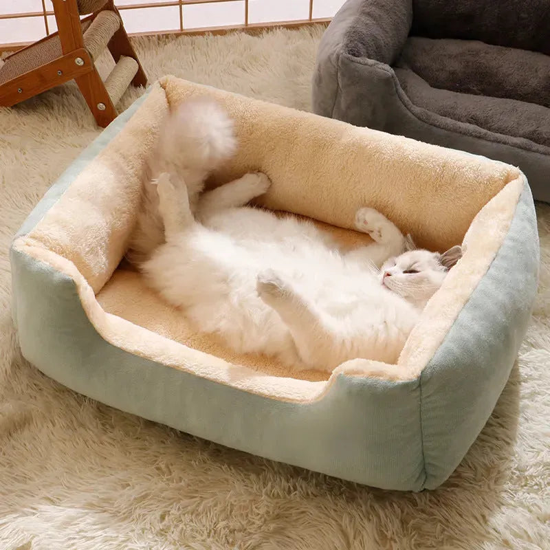 Short plush pet bed for cats and small dogs in one of five colour options
