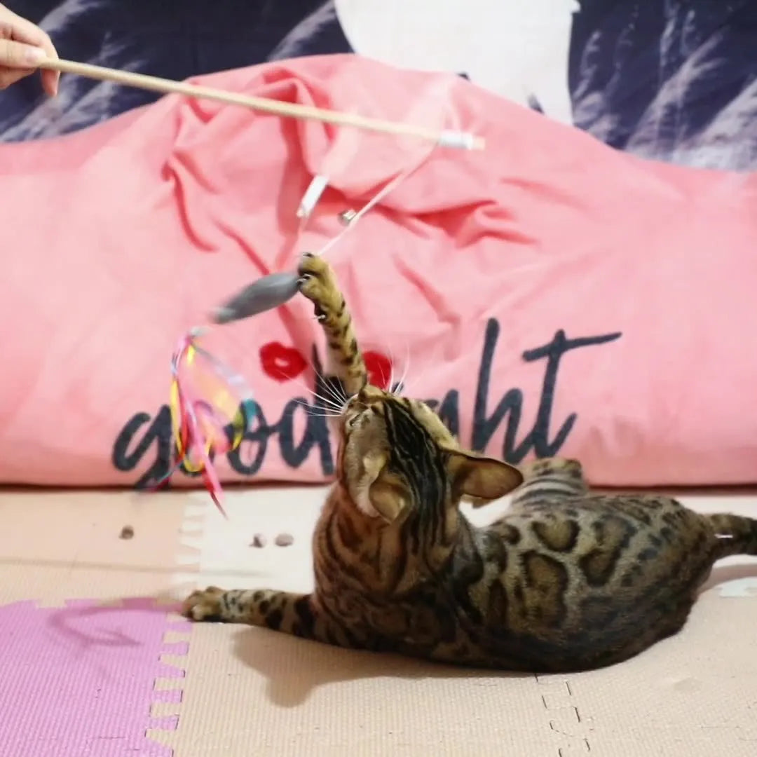 Cat wand toy with wooden handle, catnip fish attachment, colourful ribbons, and bell