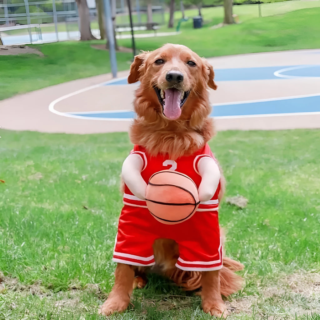 Red dog basketball costume with a ball next to a yellow version, shown in small, medium, and large sizes.