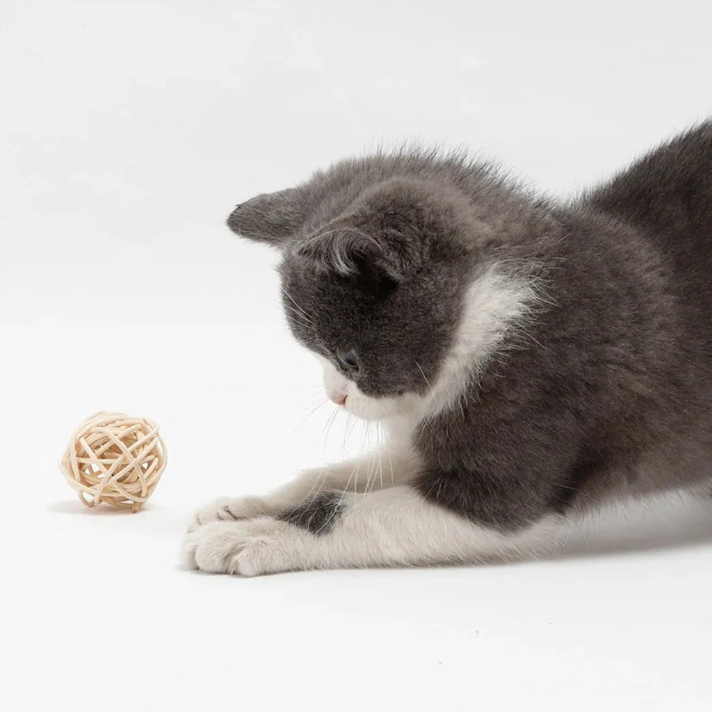 Two cat toys: natural rattan ball with bell and colourful faux feather ball for interactive pet play