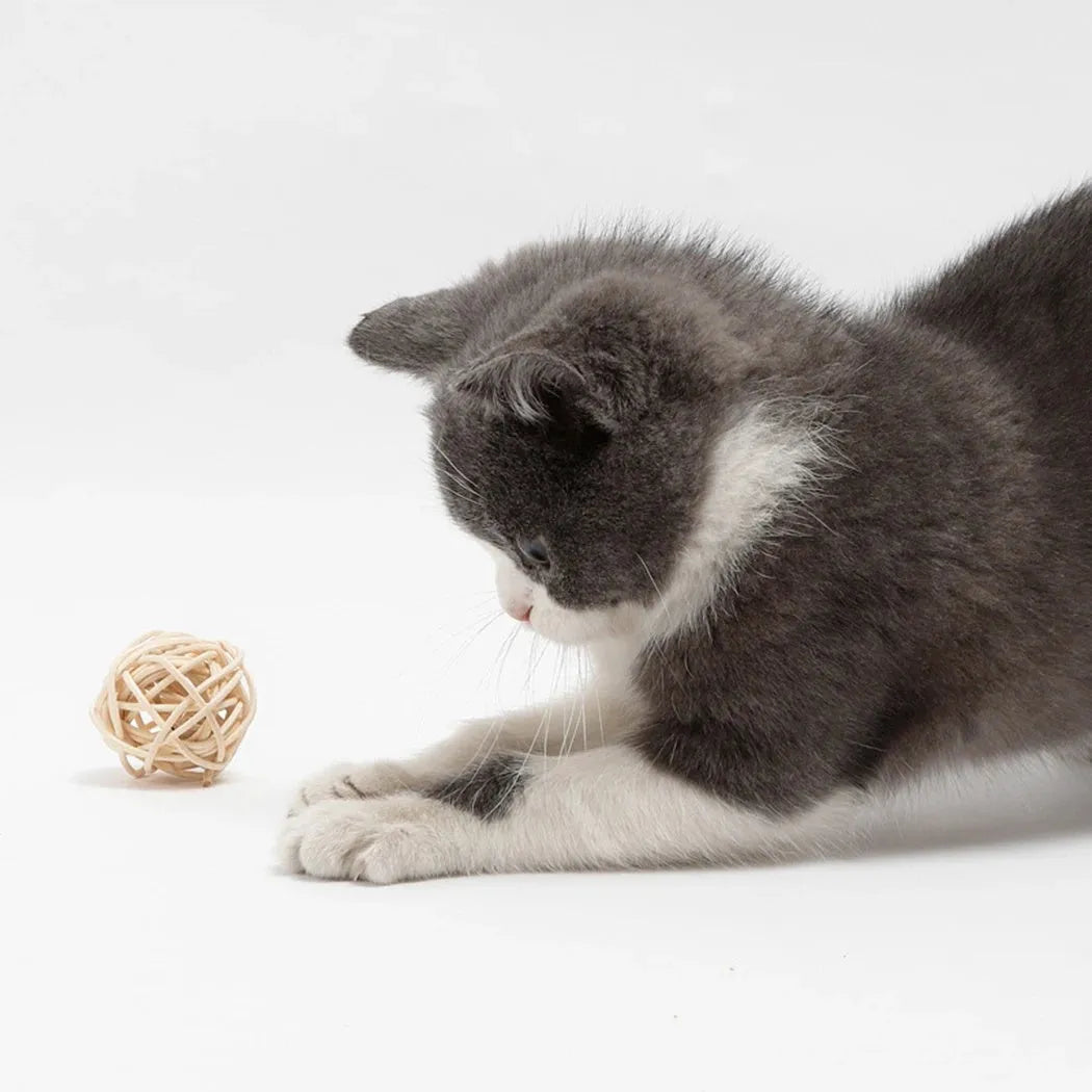 Two cat toys: natural rattan ball with bell and colourful faux feather ball for interactive pet play