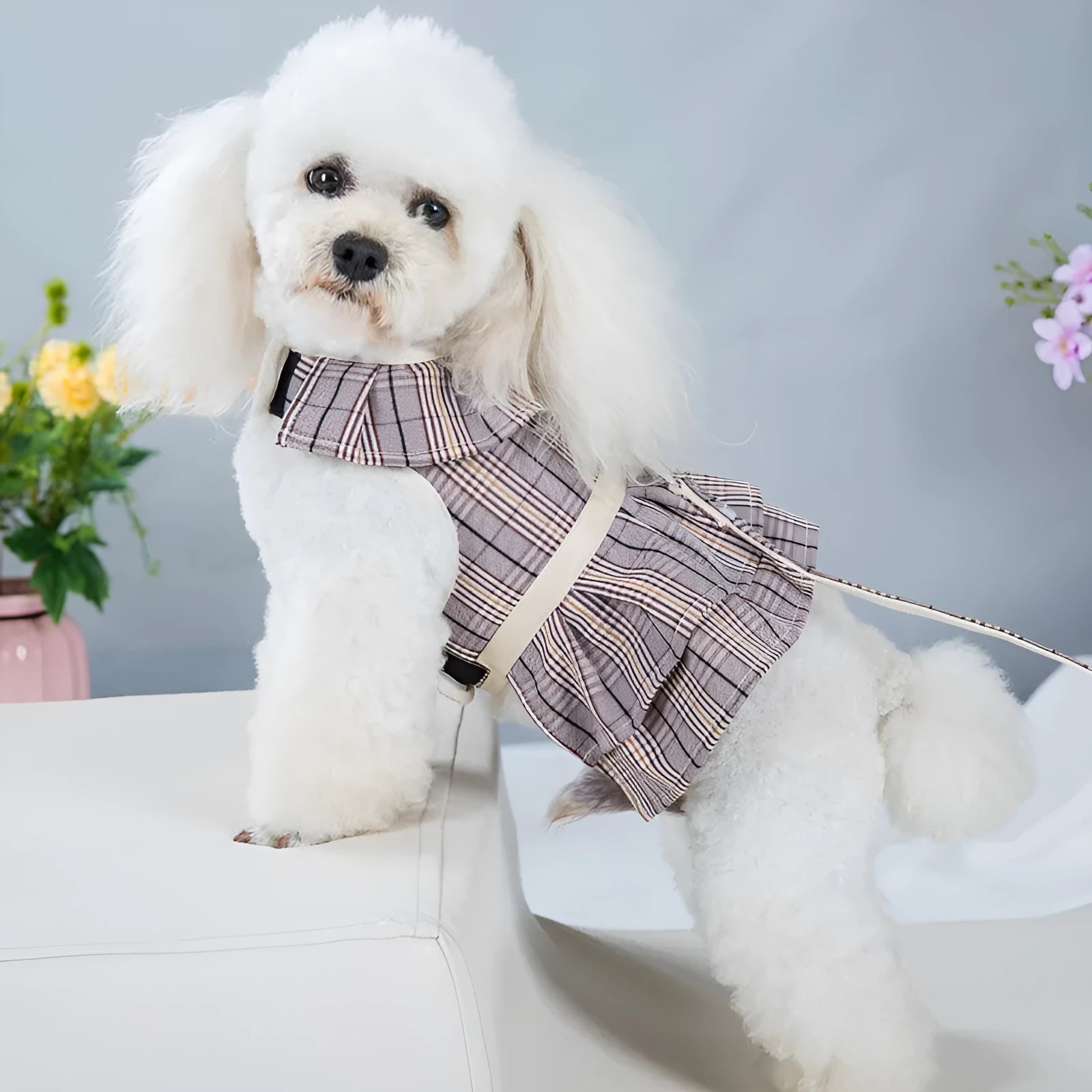 Milky white and purple pet vest harnesses with integrated hand-holding rope and skirt.